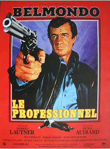 LE PROFESSIONNEL