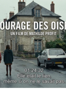 LE COURAGE DES OISEAUX