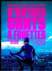D'AUTRES CHATS A FOUETTER